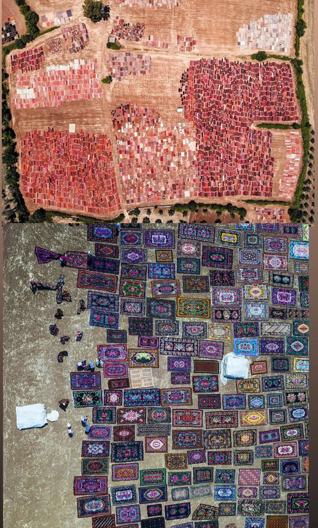 20251130-120650_Gallery