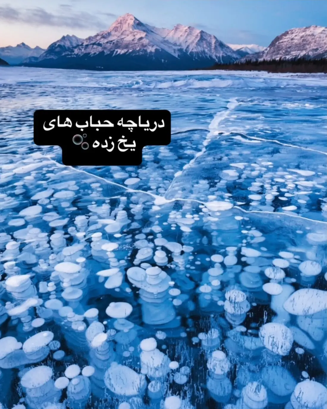 Screenshot_۲۰۲۵۰۵۰۱-۱۶۳۶۵۴_Instagram