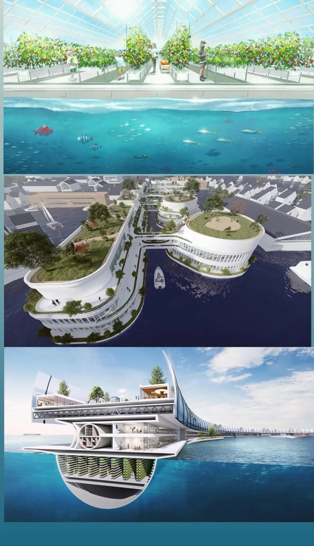 0251202-111330_Gallery