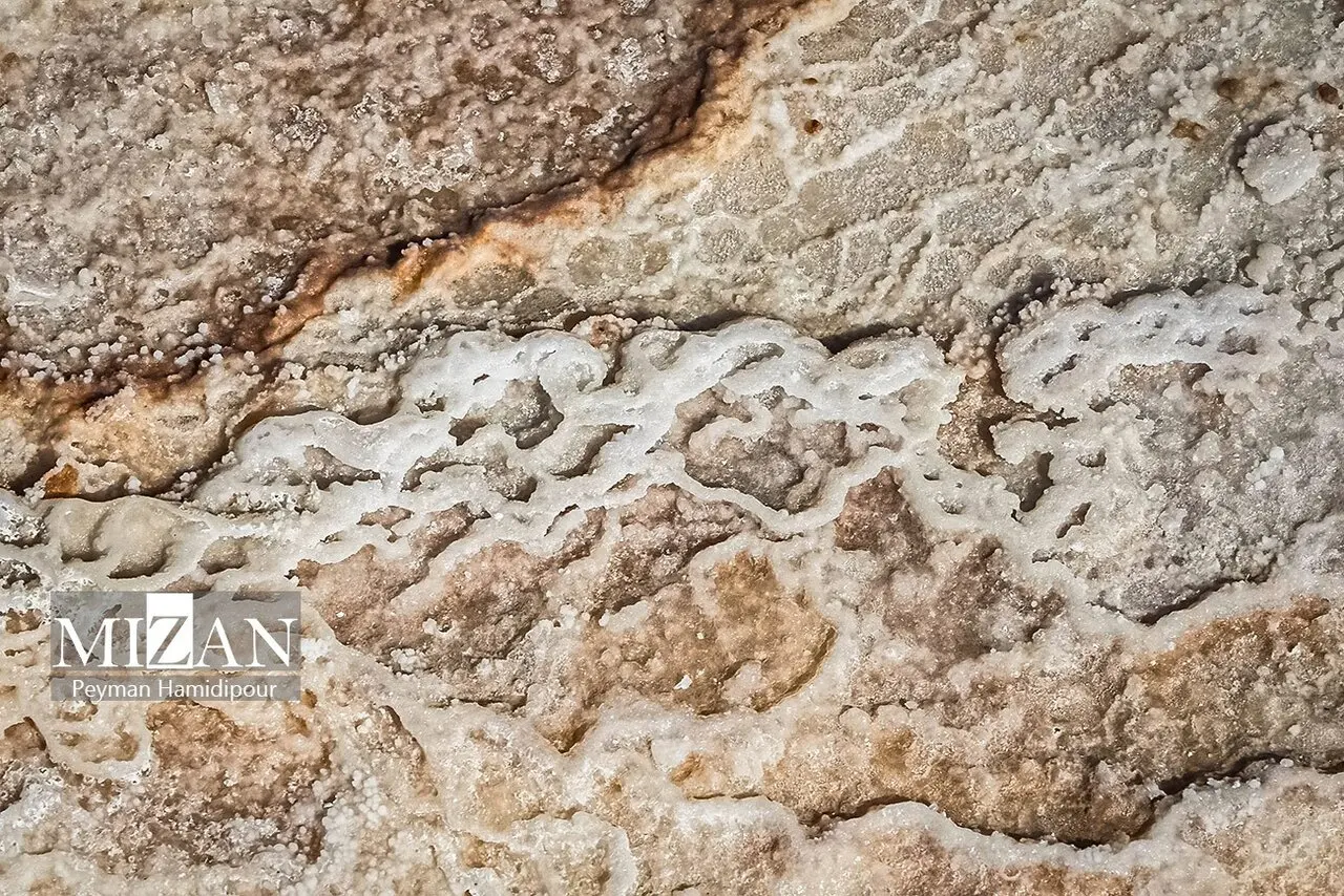 کال‌شور
