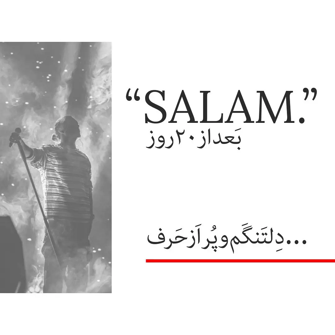 حامیم