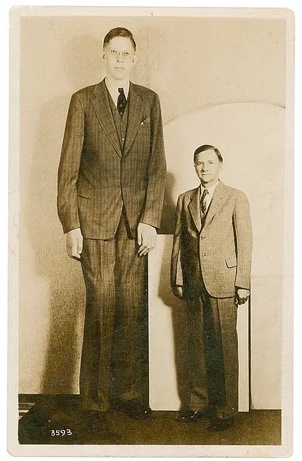 Robert_Wadlow_postcard.jpeg
