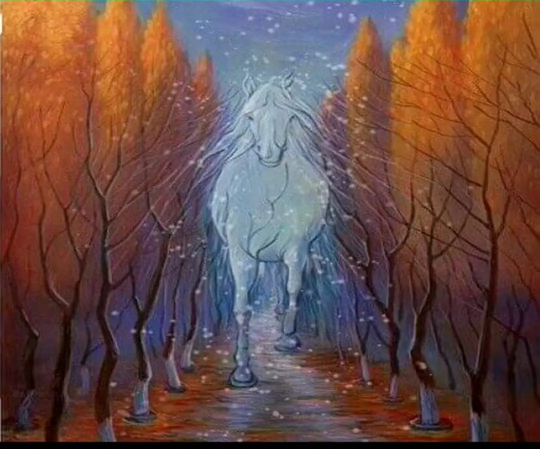 0251217-140326_Gallery