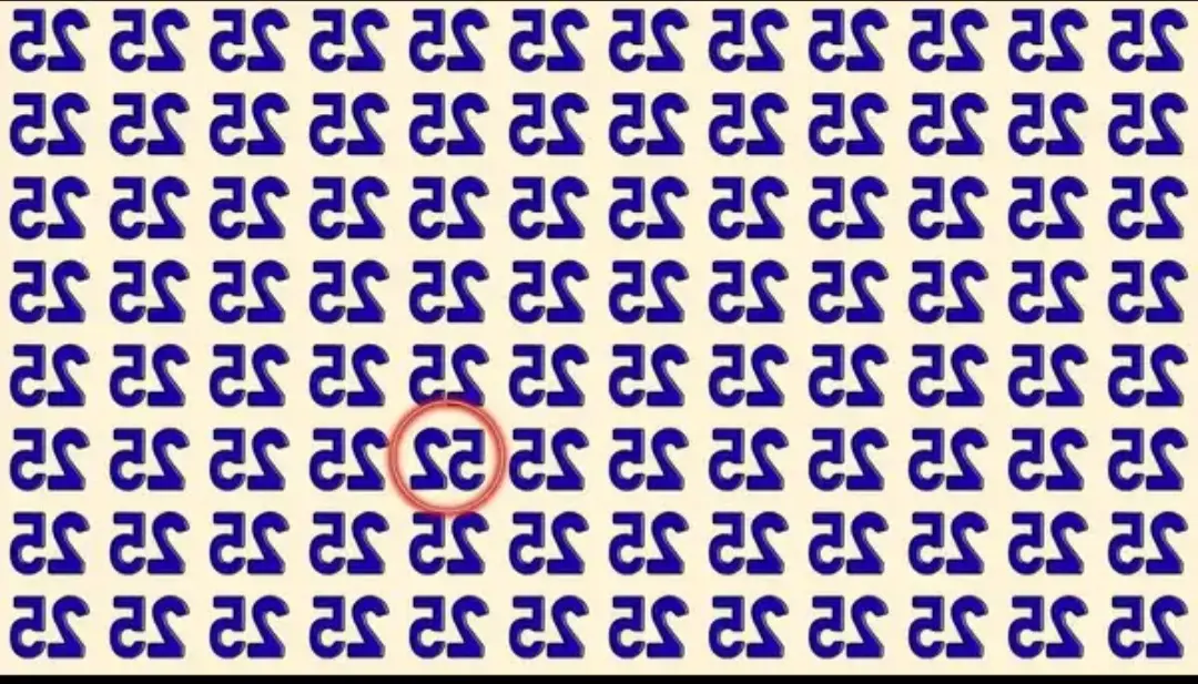 Screenshot_20251110-033043_Gallery