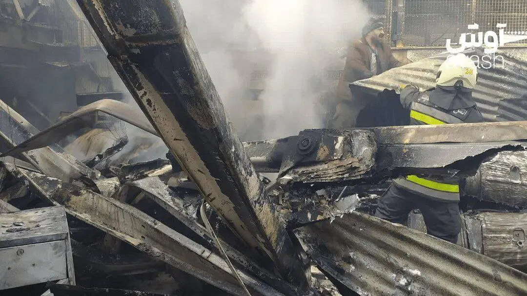 IMG_20260224_110243_409