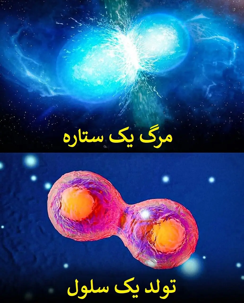 طبیعت
