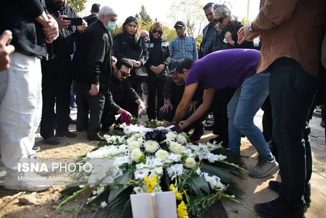 photo_2025-11-12_11-22-41