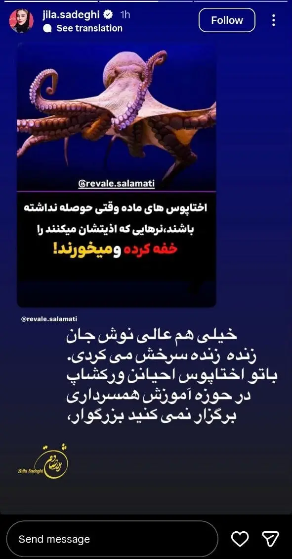 photo_2025-12-16_21-52-04