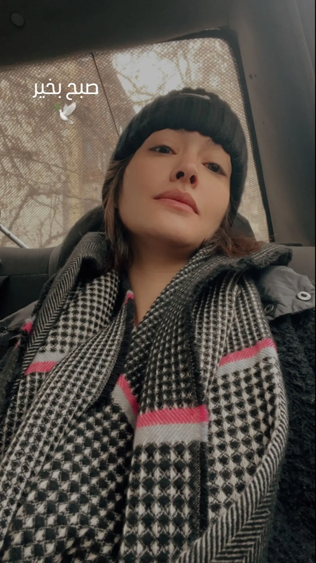 Screenshot_۲۰۲۵۱۲۲۴_۲۱۰۵۴۱_Gallery