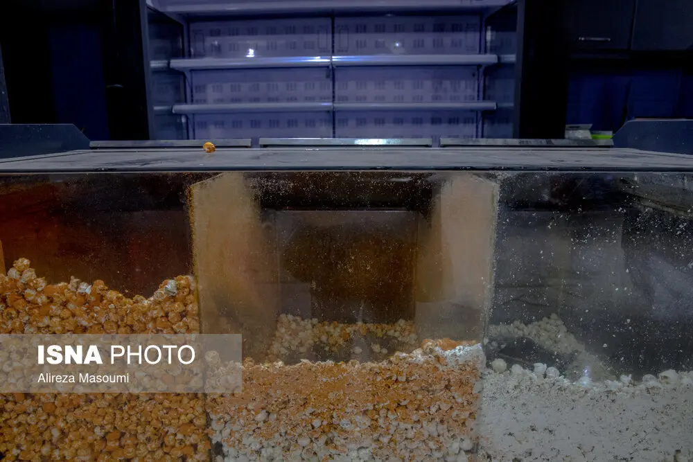 سینما شکوفه