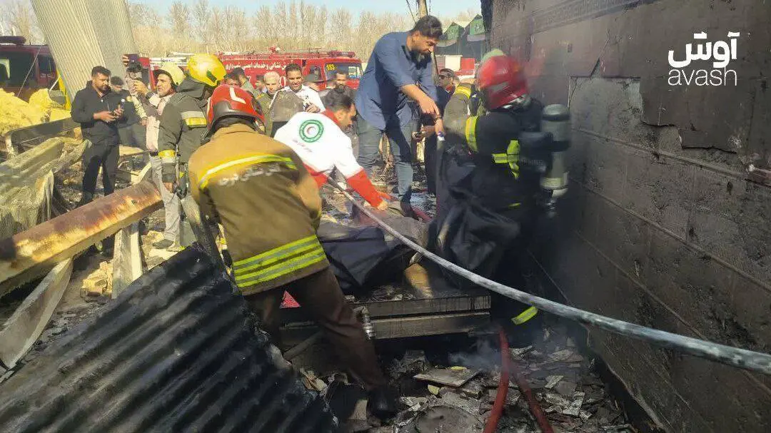 IMG_20260224_110243_632