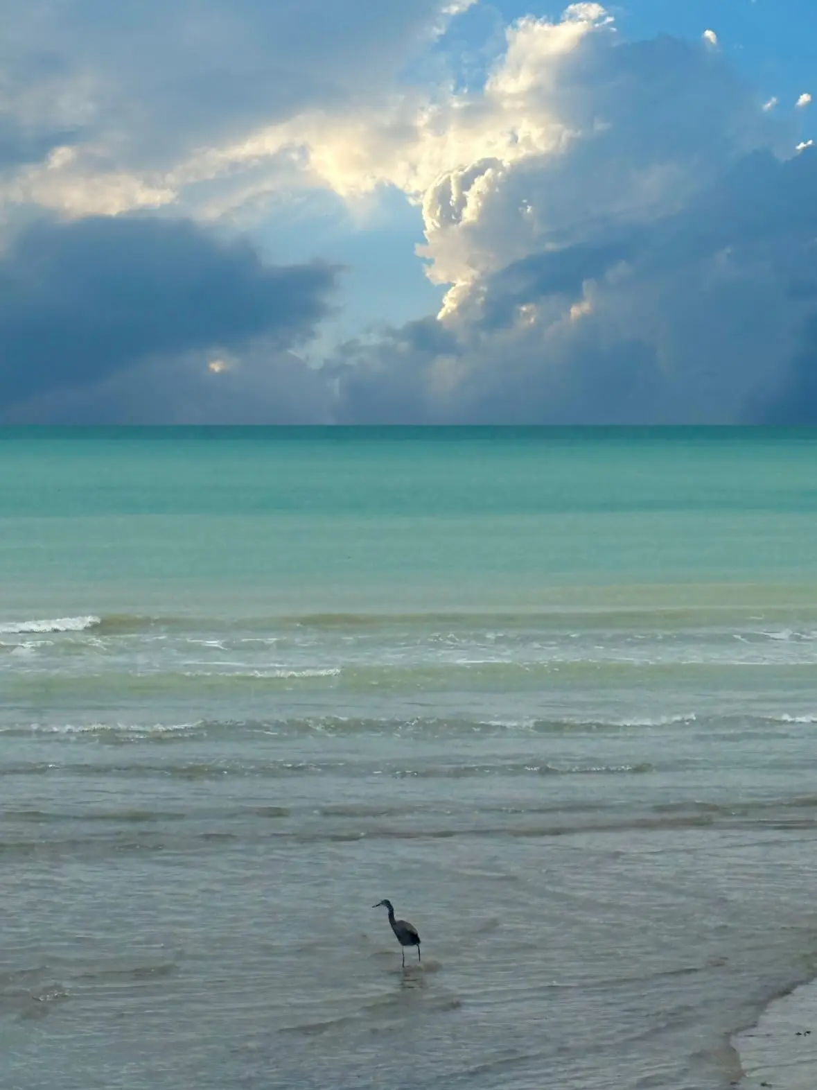 photo_2025-12-22_20-06-33