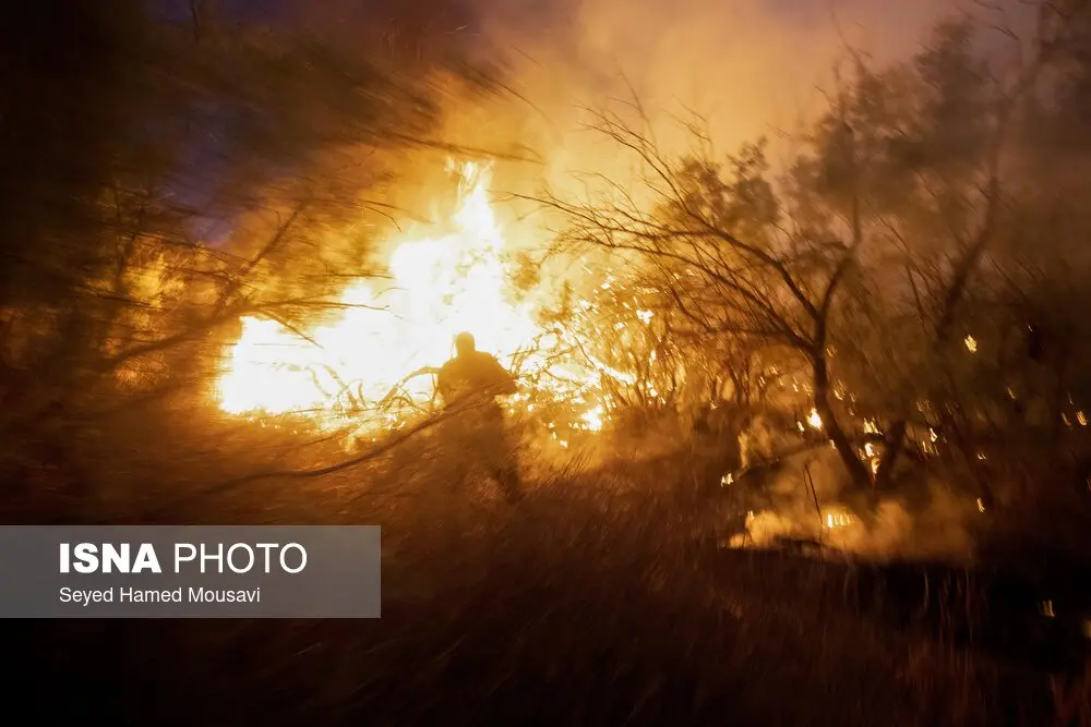 آتش سوزی پارک ملی کرخه 