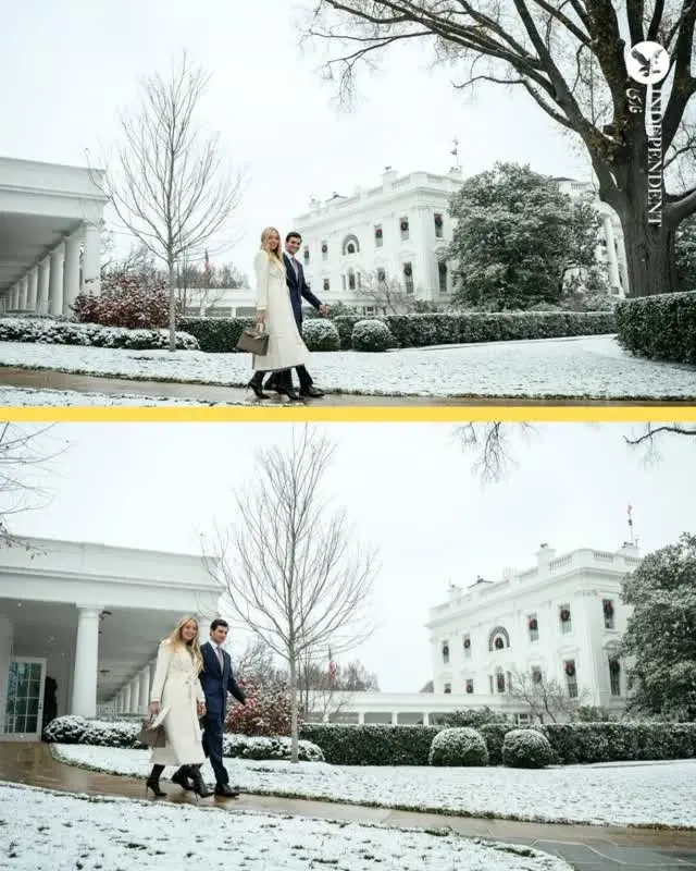 e64d286a-29f4-4dff-85e0-8a4b15f92049