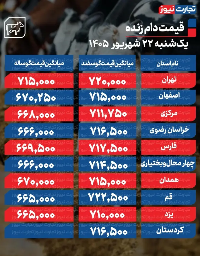 ش