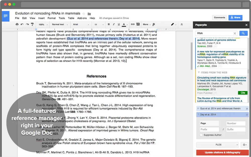 paperpile-google-docs