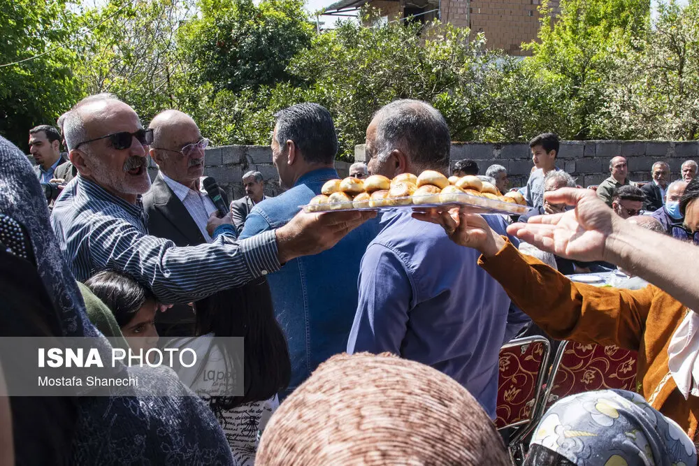 ناوشکن دنا 