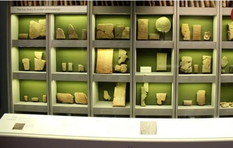 _20260127-145749_Gallery