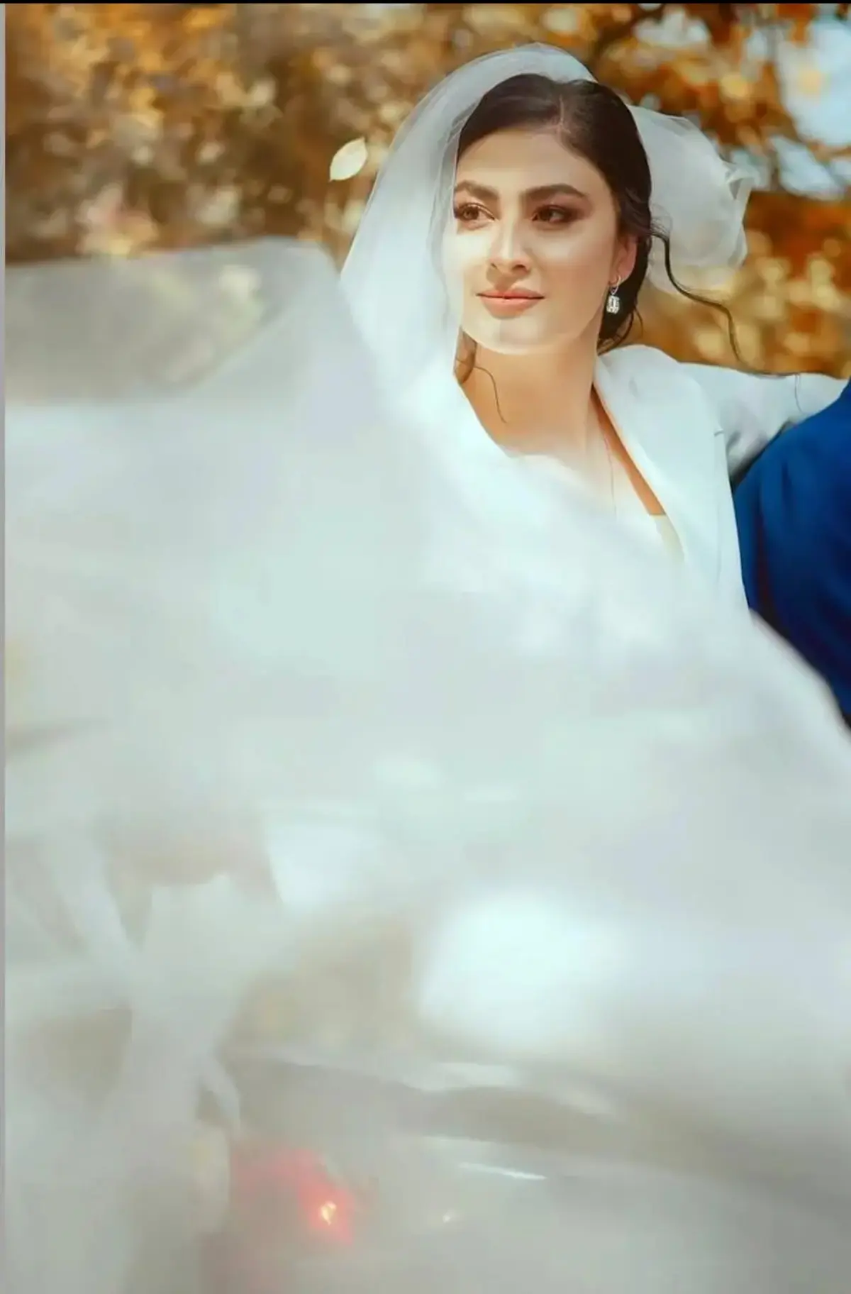 Screenshot_۲۰۲۵۱۲۲۰_۱۸۵۱۵۴_Gallery