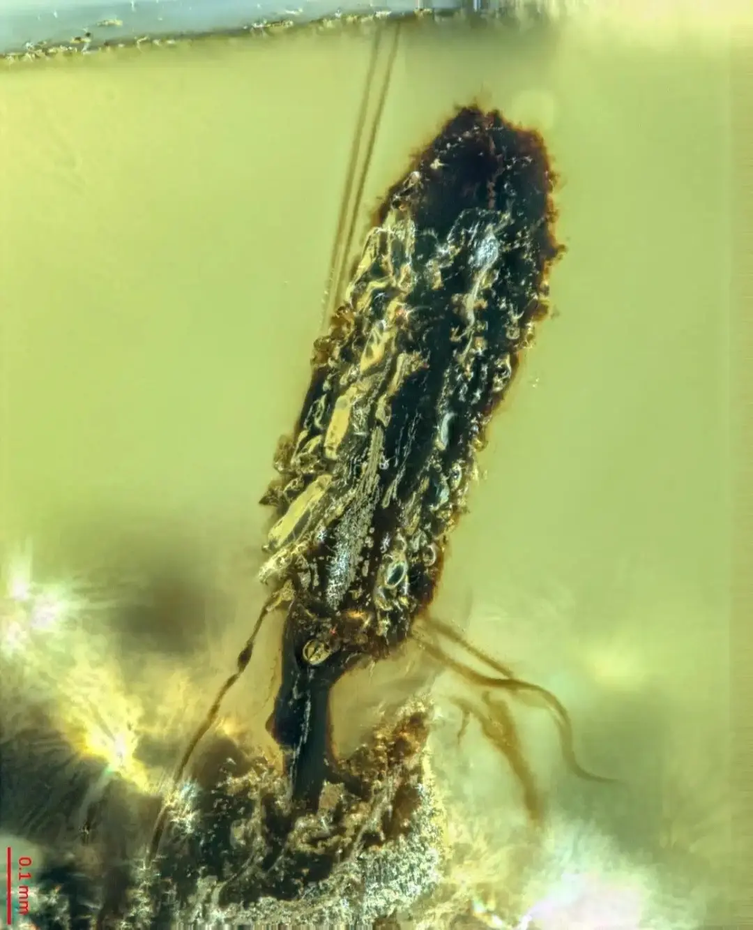 _20260104-123805_Gallery