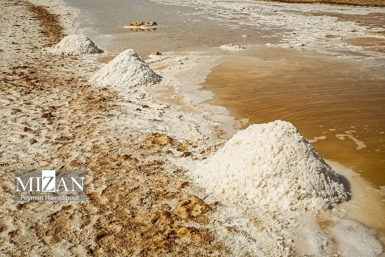 کال‌شور