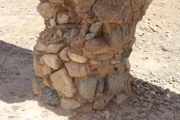 63995663