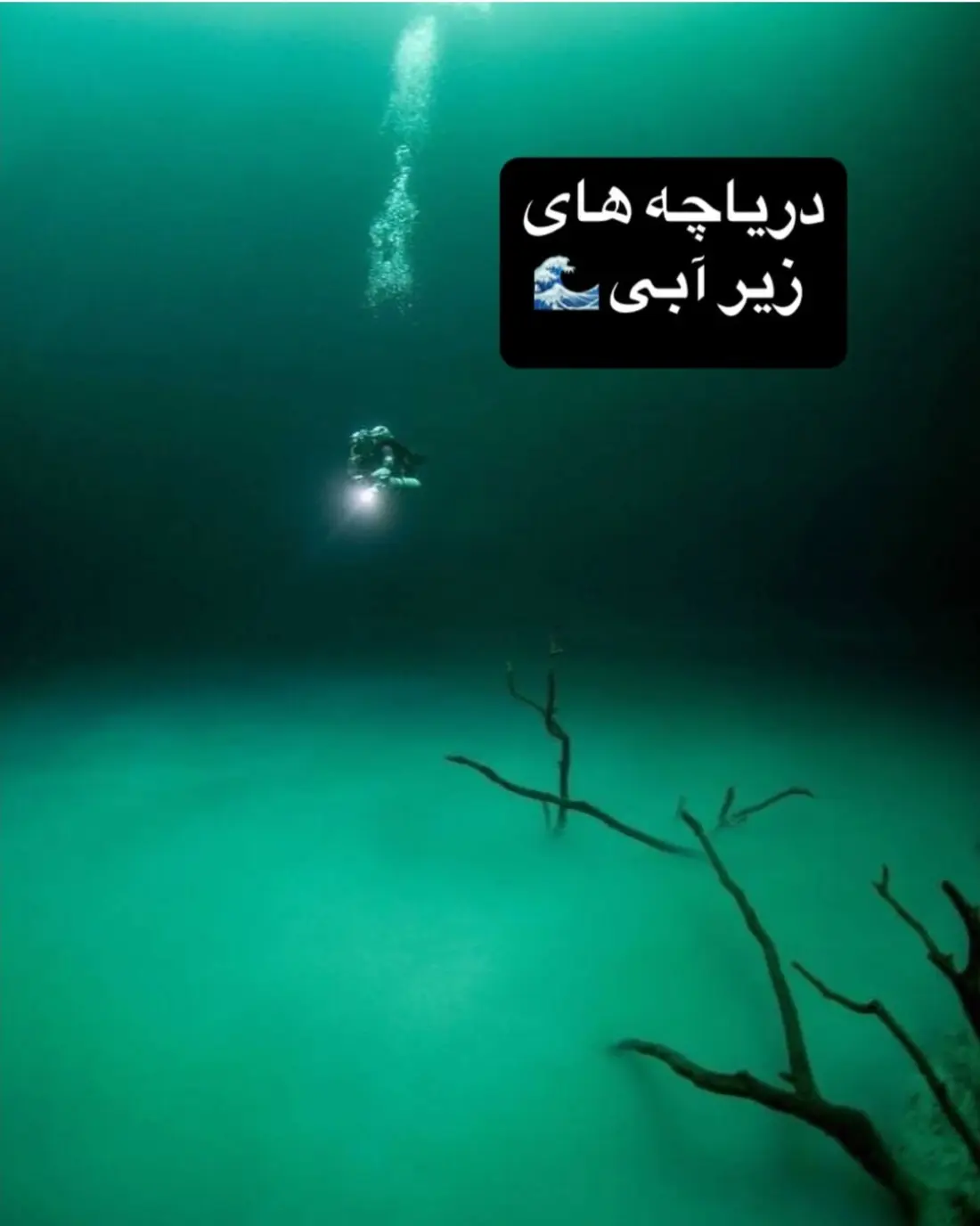 Screenshot_۲۰۲۵۰۵۰۱-۱۶۳۵۵۷_Instagram