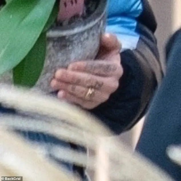 photo_2025-11-03_23-29-34 (2)