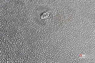 thm_2830996_452
