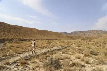 63968673