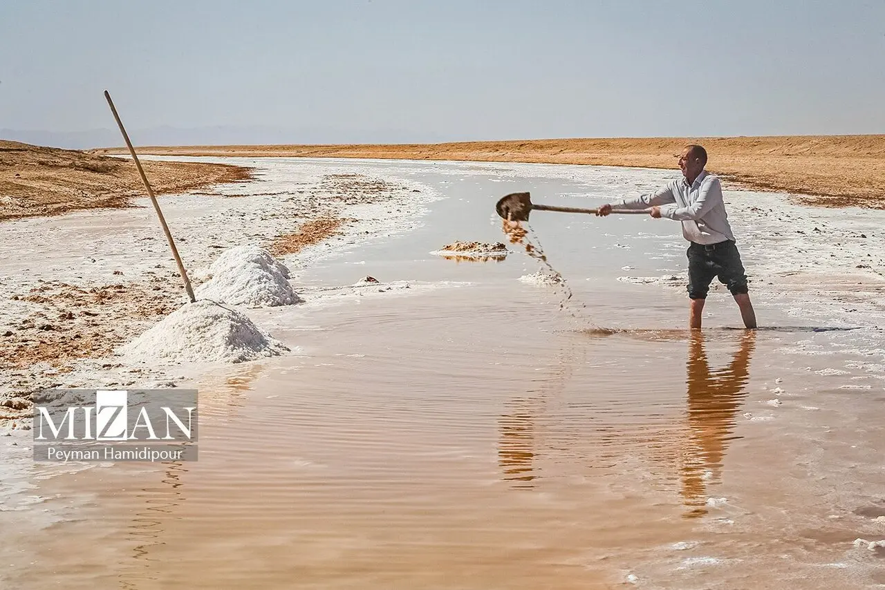 کال‌شور
