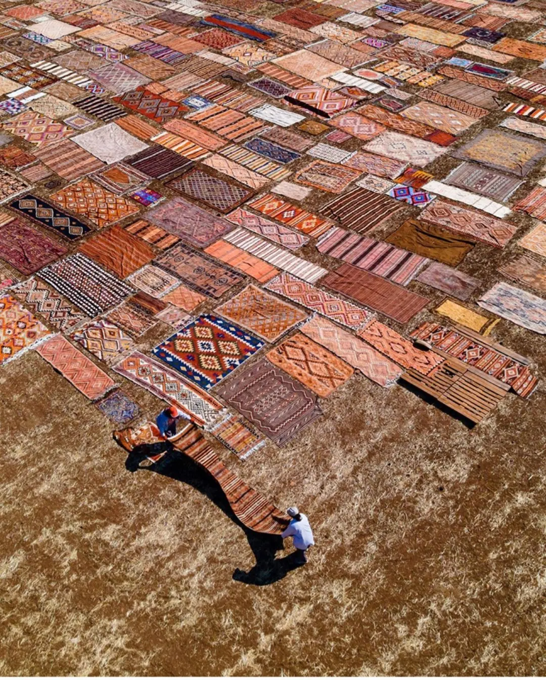 0251130-120714_Gallery