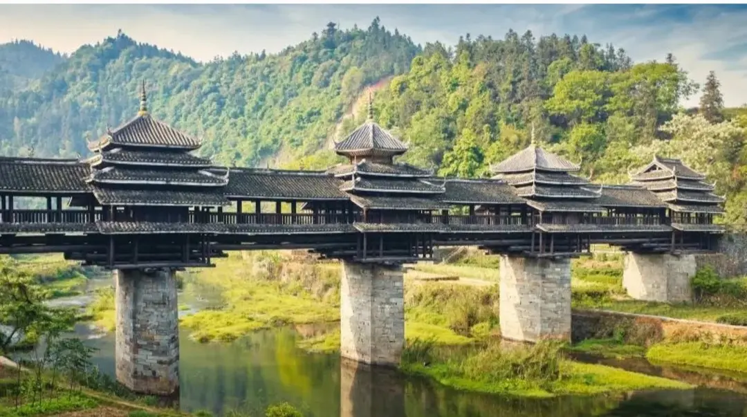 20260124-132929_Gallery