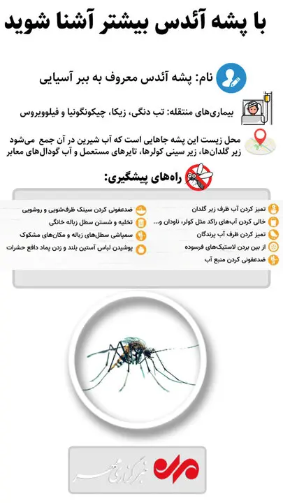 آشنایی کامل با پشه آئدس؛ ناقل بیماری‌های خطرناک + اینفوگرافیک