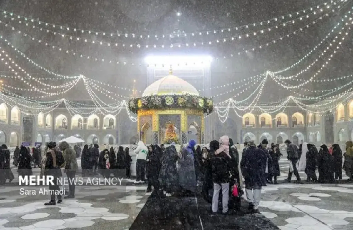 Screenshot_۲۰۲۶۰۱۱۷_۰۸۲۲۰۵_Gallery