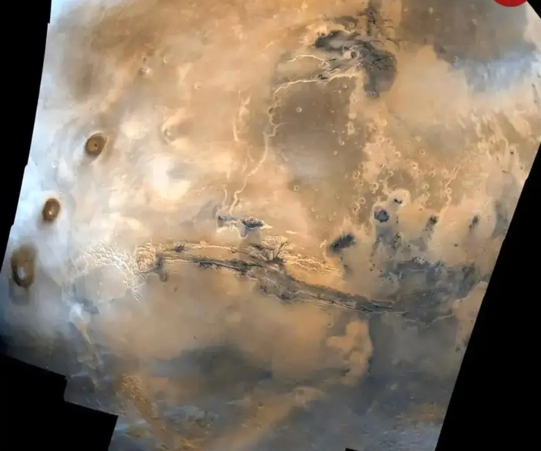 20260125-090508_Gallery