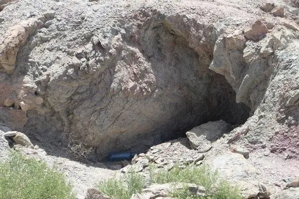 63995671