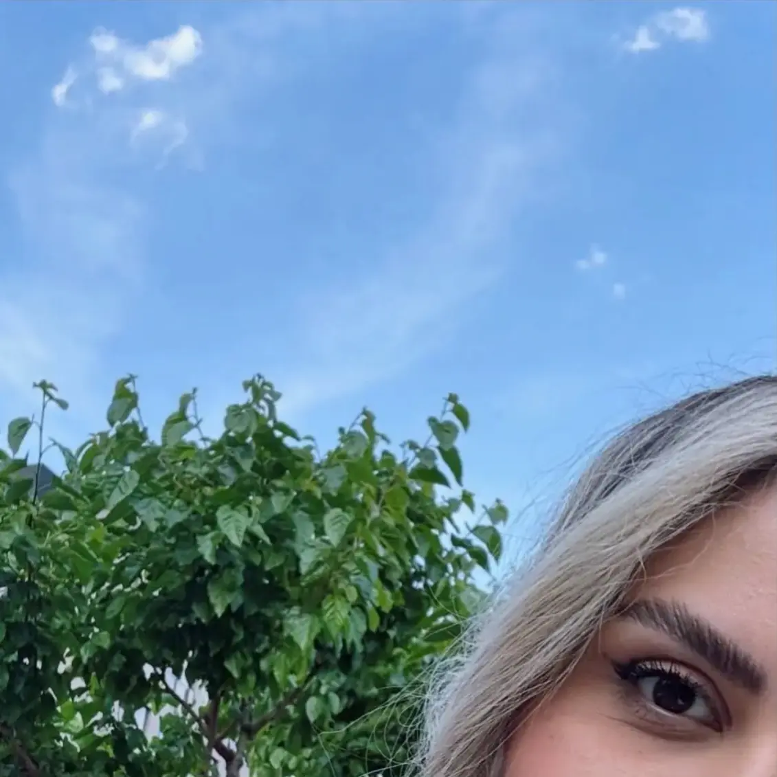 Screenshot_۲۰۲۶۰۵۰۲_۲۲۵۳۲۵_Chrome