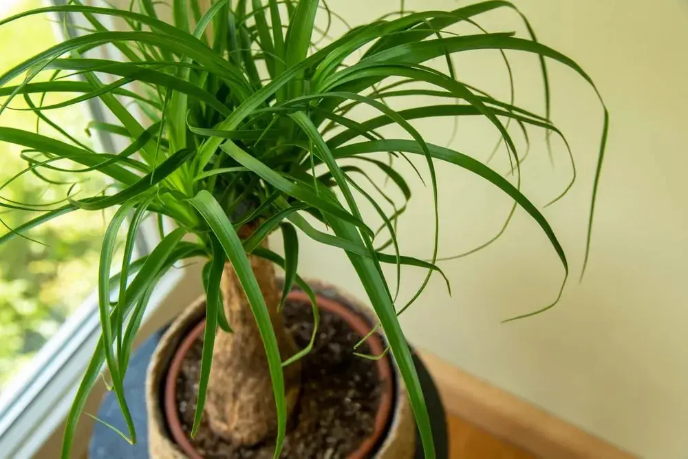 IMG_20251110_082705_441