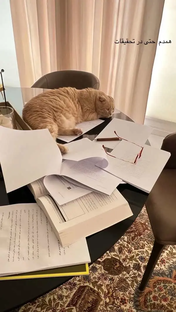 behnoush-tabatabaie-keyvan-lhanegi