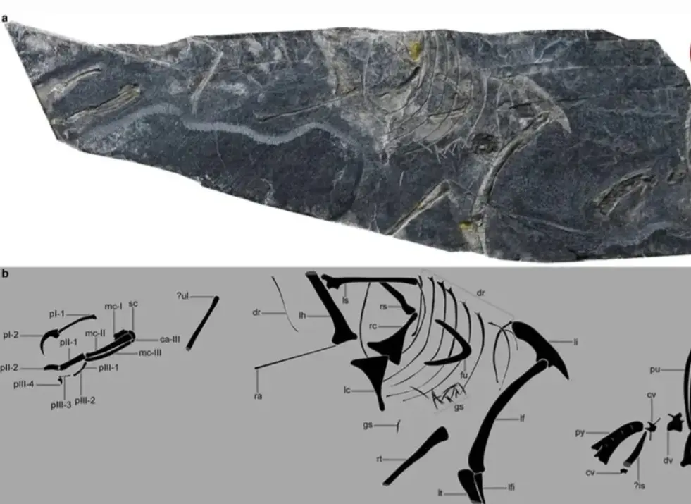 0260121-094307_Gallery