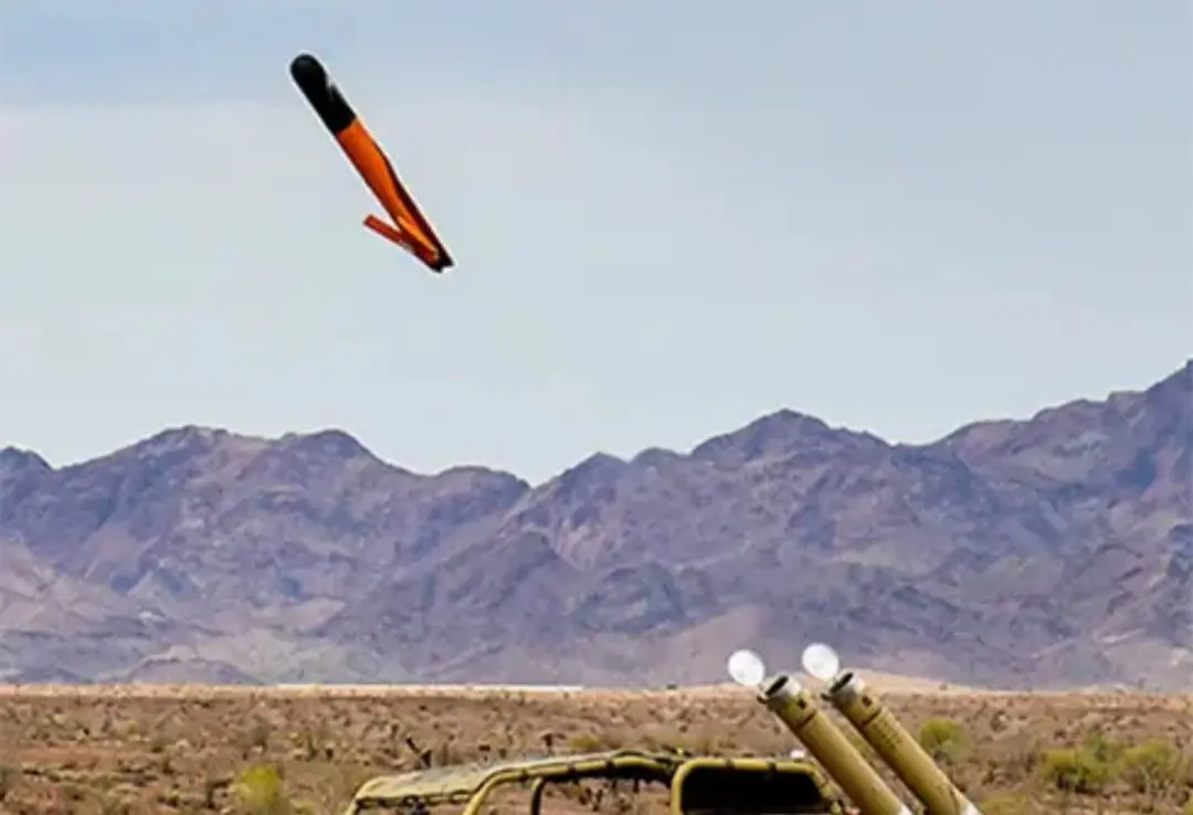 251229-141507_Gallery