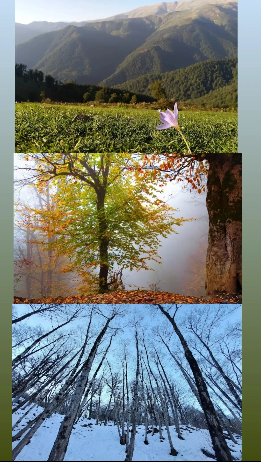 20260124-134136_Gallery