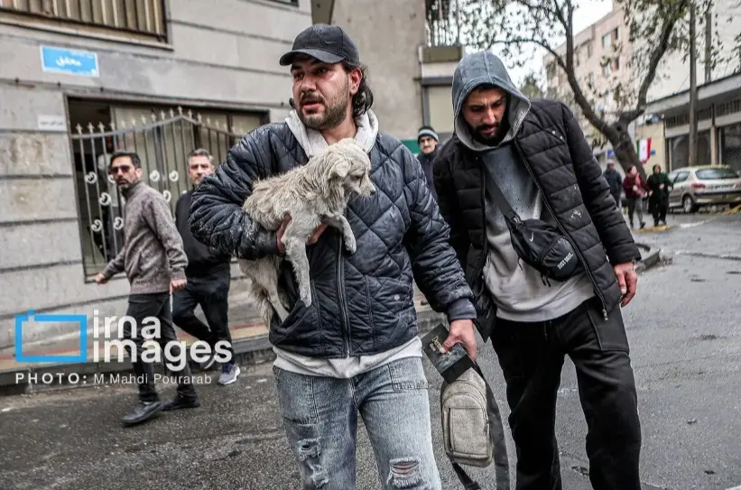 Screenshot_۲۰۲۶۰۳۱۵_۲۰۰۸۵۵_Chrome