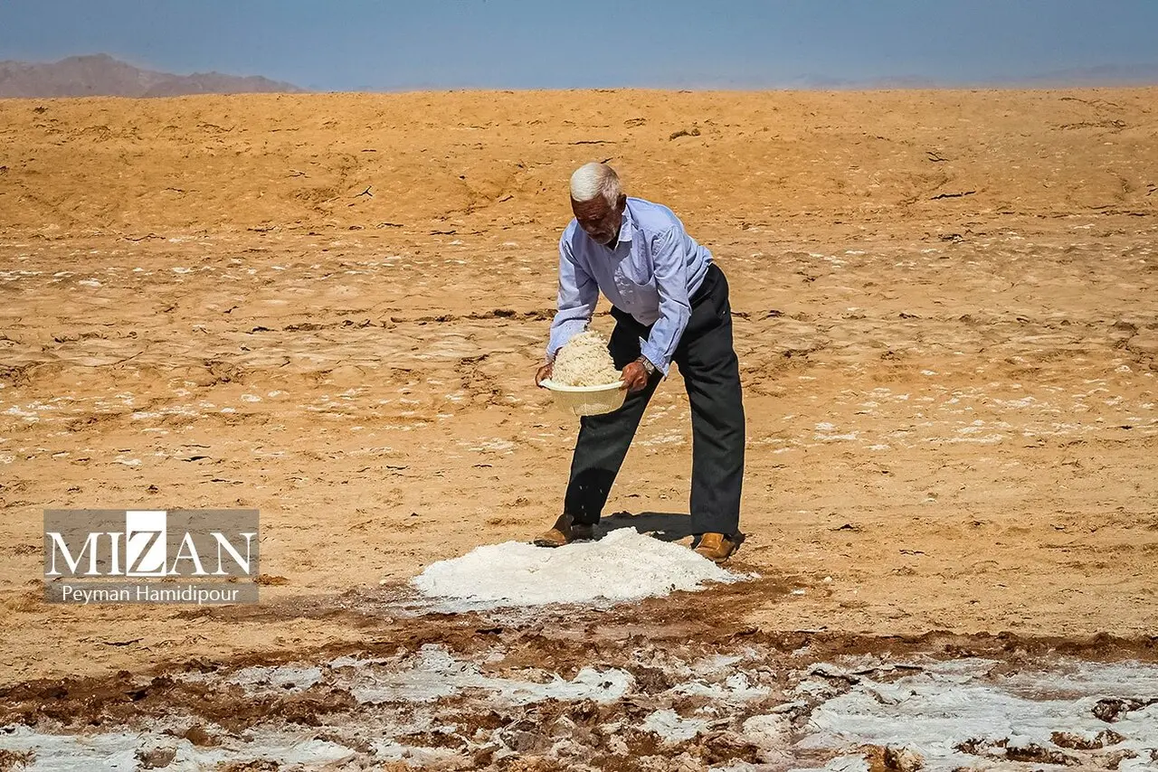 کال‌شور