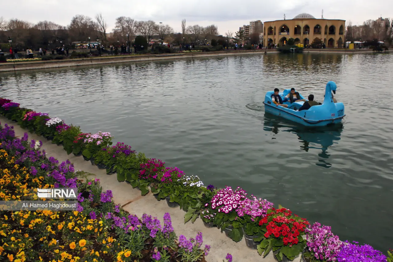 ائل گلی
