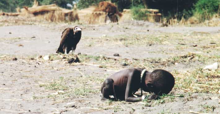 vulture-and-little-girl-photo-story-u1