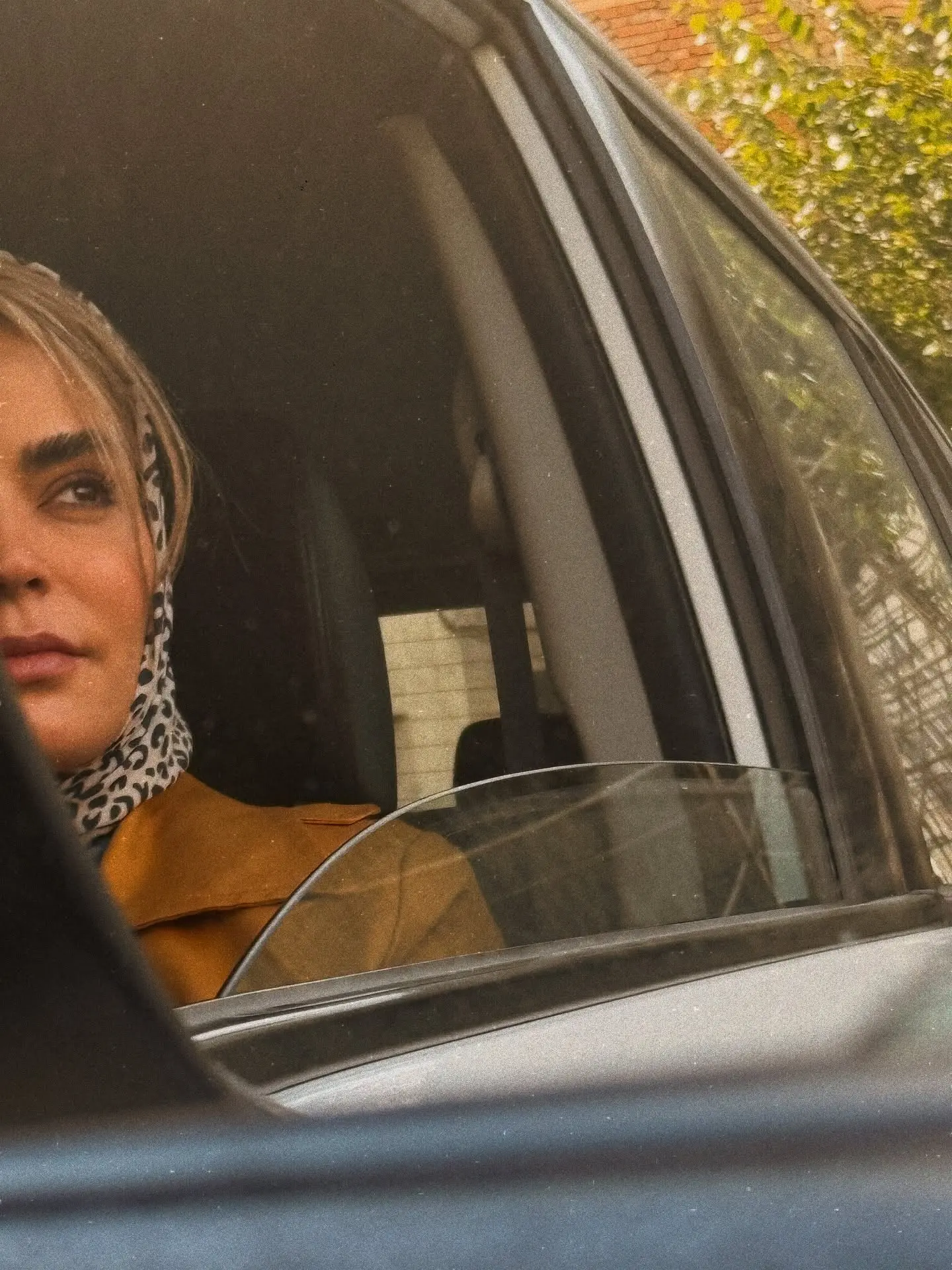 photo_2025-11-02_20-18-26