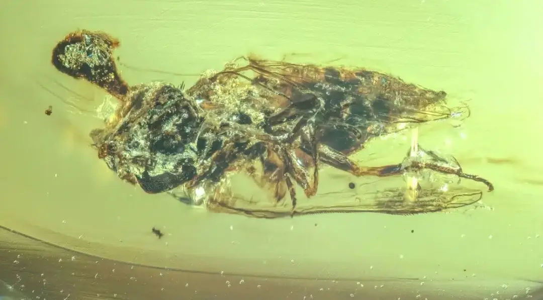 0260104-123808_Gallery