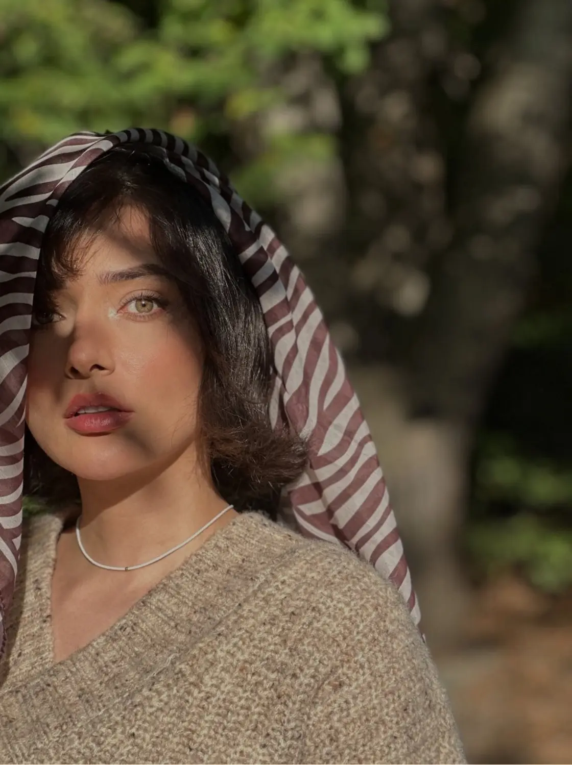 Screenshot_۲۰۲۵۱۲۲۲_۲۱۰۳۰۰_Chrome